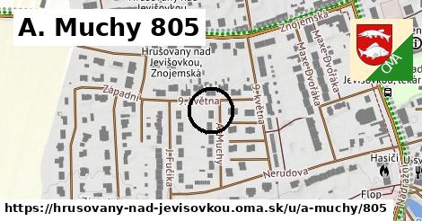 A. Muchy 805, Hrušovany nad Jevišovkou