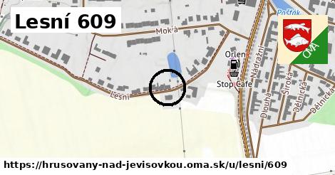 Lesní 609, Hrušovany nad Jevišovkou