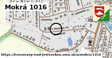 Mokrá 1016, Hrušovany nad Jevišovkou