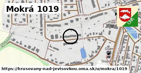 Mokrá 1019, Hrušovany nad Jevišovkou
