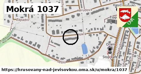 Mokrá 1037, Hrušovany nad Jevišovkou