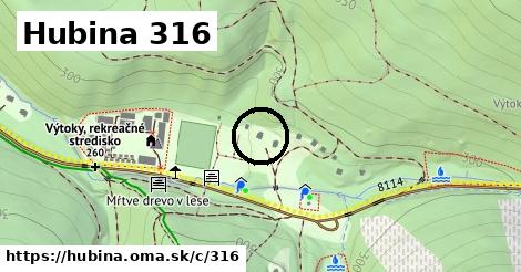 Hubina <span class="supisne">316</span>