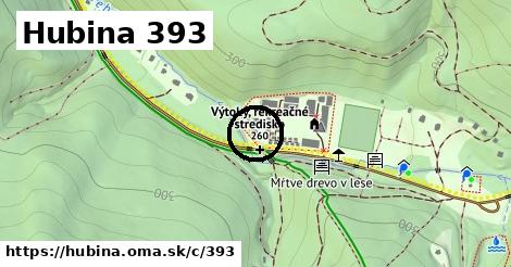 Hubina <span class="supisne">393</span>