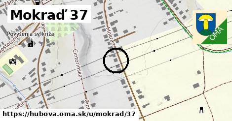 Mokraď 37, Hubová