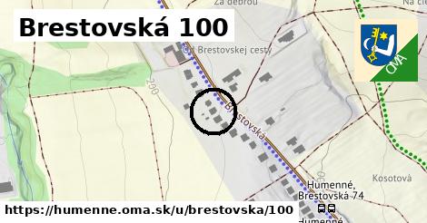 Brestovská 100, Humenné