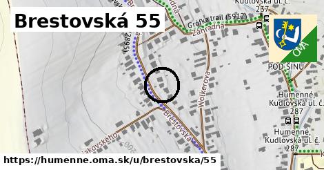 Brestovská 55, Humenné