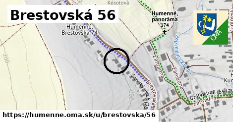 Brestovská 56, Humenné