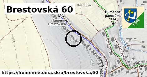 Brestovská 60, Humenné