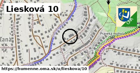 Liesková 10, Humenné