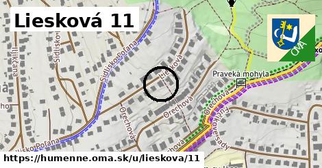 Liesková 11, Humenné