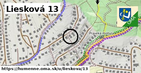 Liesková 13, Humenné