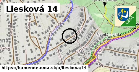 Liesková 14, Humenné