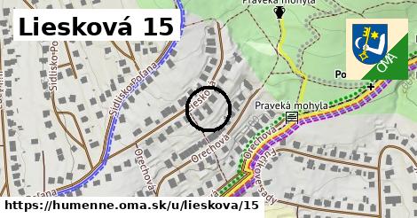 Liesková 15, Humenné