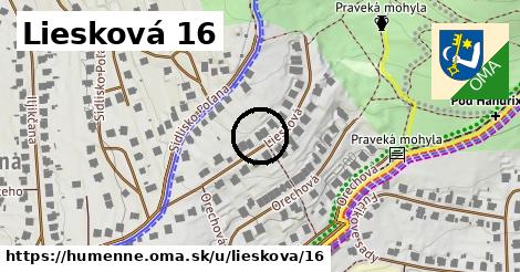Liesková 16, Humenné