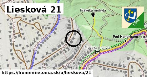 Liesková 21, Humenné