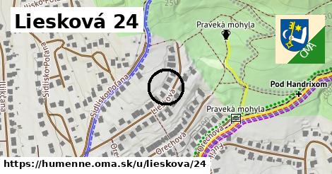 Liesková 24, Humenné