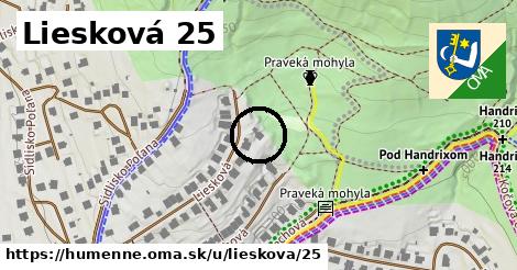 Liesková 25, Humenné