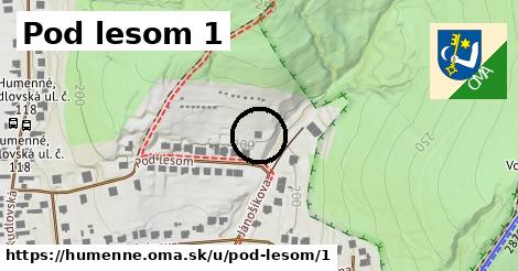 Pod lesom 1, Humenné