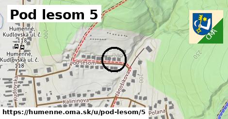 Pod lesom 5, Humenné