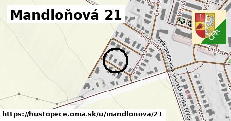 Mandloňová 21, Hustopeče