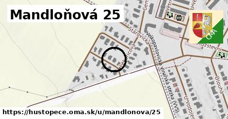 Mandloňová 25, Hustopeče