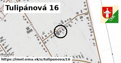 Tulipánová 16, Imeľ