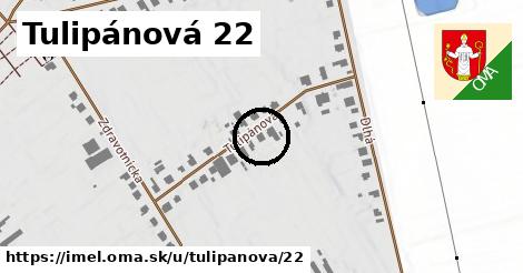 Tulipánová 22, Imeľ