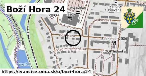 Boží Hora 24, Ivančice