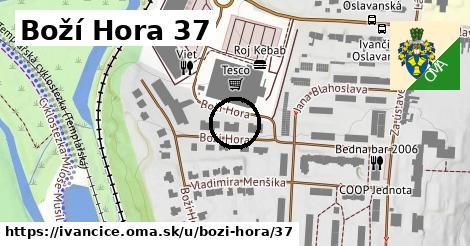 Boží Hora 37, Ivančice