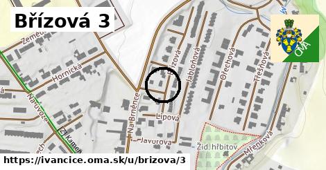 Břízová 3, Ivančice