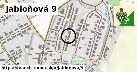 Jabloňová 9, Ivančice