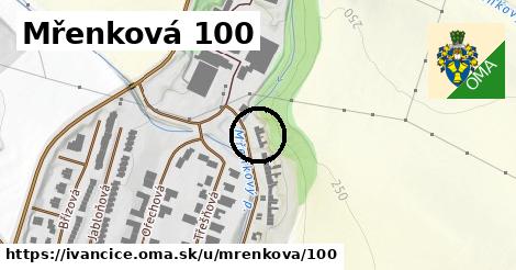 Mřenková 100, Ivančice