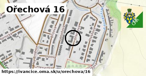 Ořechová 16, Ivančice