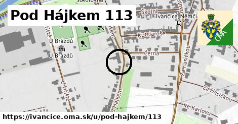 Pod Hájkem 113, Ivančice