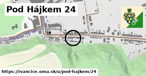 Pod Hájkem 24, Ivančice