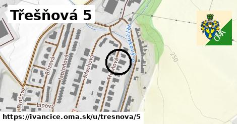 Třešňová 5, Ivančice
