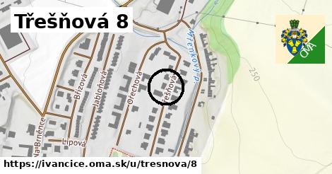 Třešňová 8, Ivančice