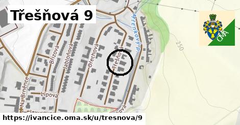 Třešňová 9, Ivančice