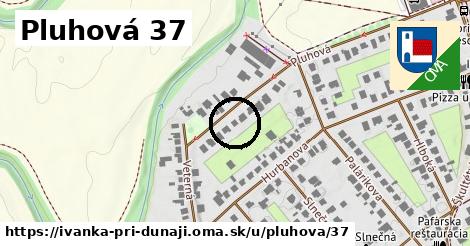 Pluhová 37, Ivanka pri Dunaji