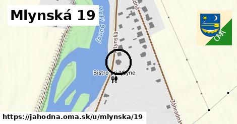 Mlynská 19, Jahodná