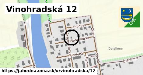 Vinohradská 12, Jahodná