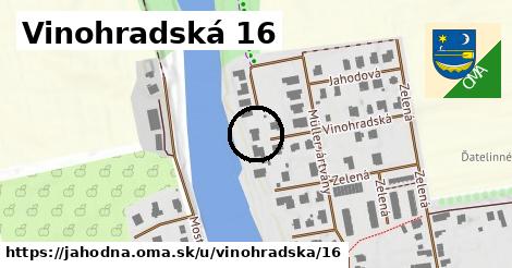 Vinohradská 16, Jahodná