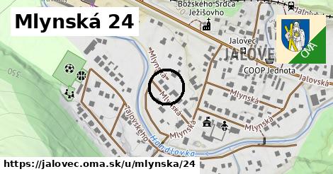 Mlynská 24, Jalovec