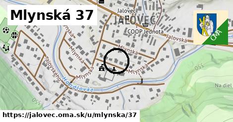 Mlynská 37, Jalovec