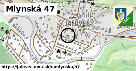 Mlynská 47, Jalovec