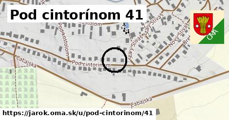 Pod cintorínom 41, Jarok