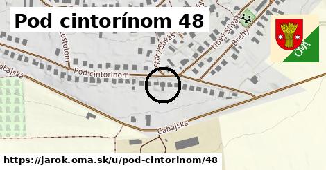 Pod cintorínom 48, Jarok