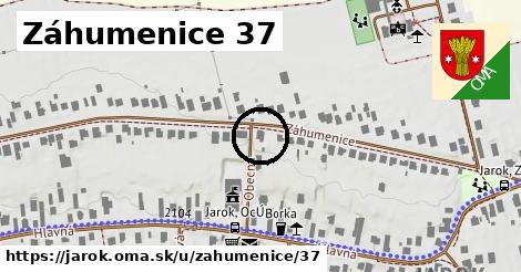 Záhumenice 37, Jarok