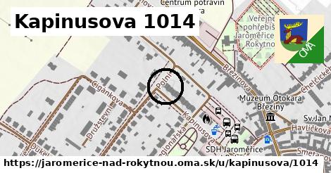 Kapinusova 1014, Jaroměřice nad Rokytnou