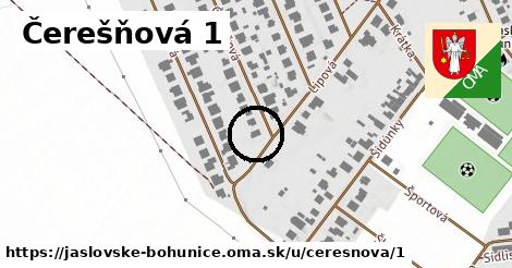 Čerešňová 1, Jaslovské Bohunice
